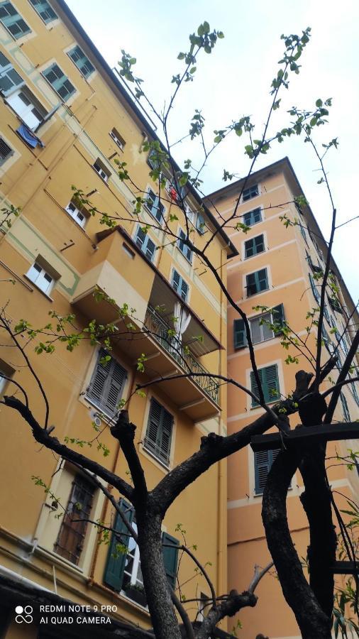 La Nina Apartment Camogli Exterior foto